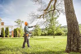 How Our Tree Care Process Works  in Sun Valley, PA